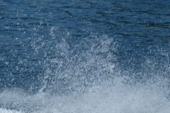 P1090717