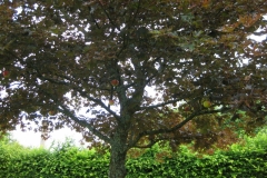 Turnier-054