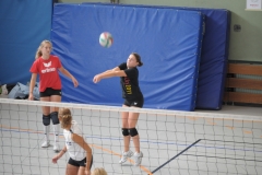 SMD CUP 2011