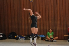 SMD CUP 2012