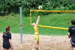 wisseler_see_2012_004