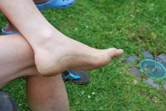wisseler_see_2012_012