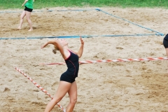 wisseler_see_2012_014