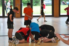 wisseler_see_2012_121