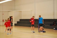 wisseler_see_2012_132