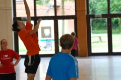 wisseler_see_2012_141